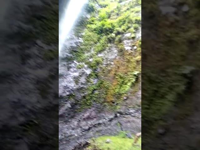 Curug Terong desa genting gunung kec. Sukorejo Kab. Kendal