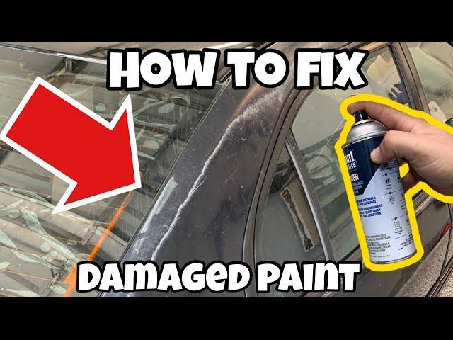 The CHEAPEST Way to Permanently Fix Peeling Paint!