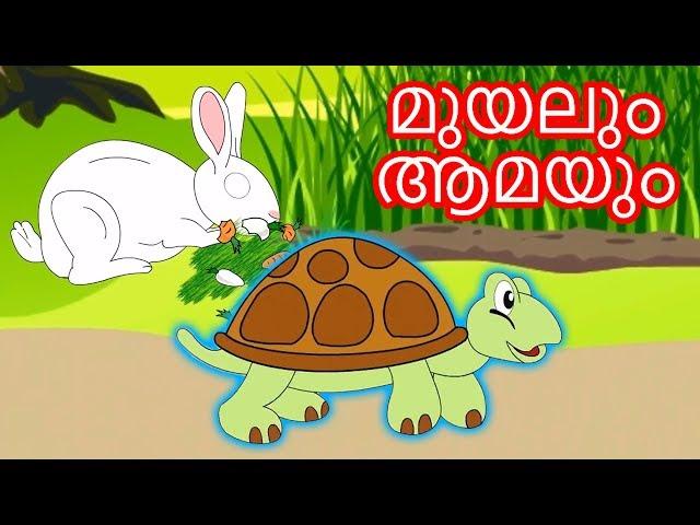 മുയലും ആമയും - Malayalam Story കഥകള് മലയാളം | കാര്ട്ടൂണ് മലയാളം