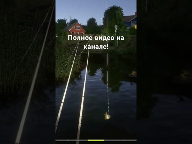 Трофей Плотвы на озере Комариное #rr4 #комариное #русскаярыбалка4