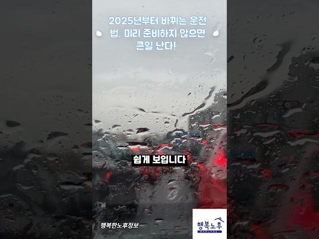 2025년부터 바뀌는 운전법, 미리 준비하지 않으면 큰일 난다! l 장롱 면허부터 바너클까지! l 행복한노후정보