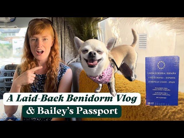 Van Life in Benidorm  Campsite, Pool Day & Bailey's New Passport