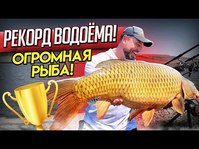 РЫБАЛКА! РЕКОРД ВОДОЁМА "РАЗЛИВ"! ОГРОМНАЯ РЫБА :)