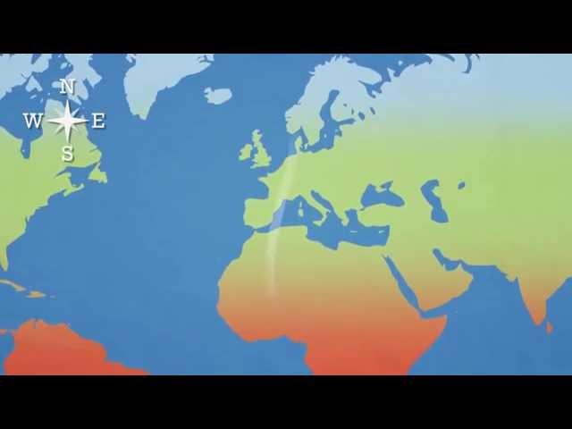 Wind direction and weather