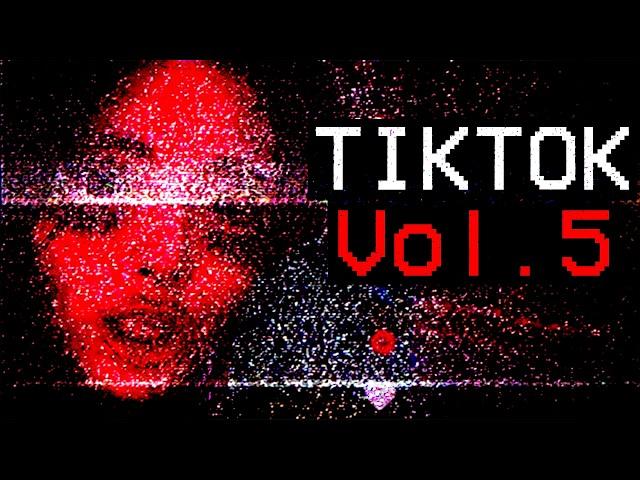 Tiktok Deep Dive [Vol. 5]