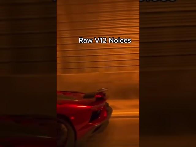 LAMBORGHINI AVENTADOR PURE V12 SOUND