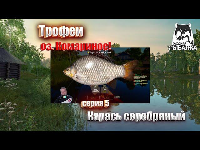 Русская рыбалка 4: Трофейный Карась Серебряный на оз. Комариное