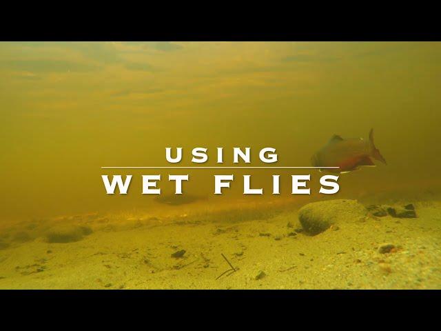 Wet Fly Fishing Tips & Techniques | Guide Tips