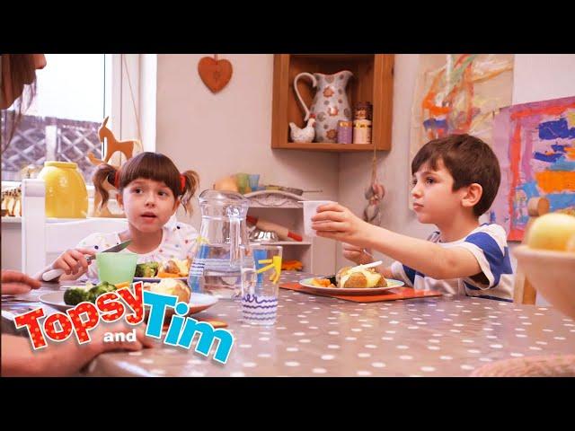 Topsy & Tim | Growing Sunflowers | 1 hour+ Marathon | Full Episodes | Shows for Kids