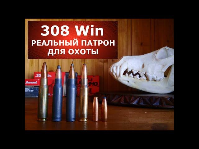 308 Win реальный патрон для реальной охоты!  Почему?