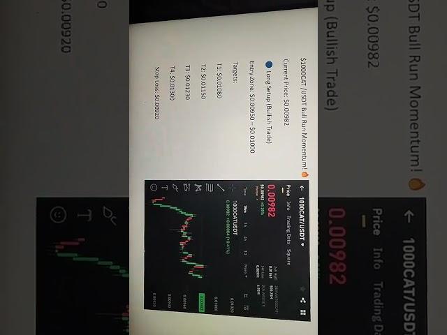 $1000CAT /USDT Bull Run Momentum!#trading #crypto #binance #profit #money #futures