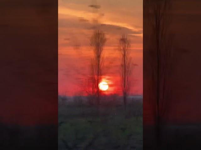 Воскресный закат.