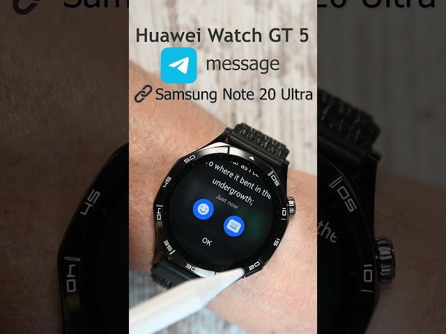 Huawei Watch GT 5 receiving a Telegram message #huaweiwatchgt5