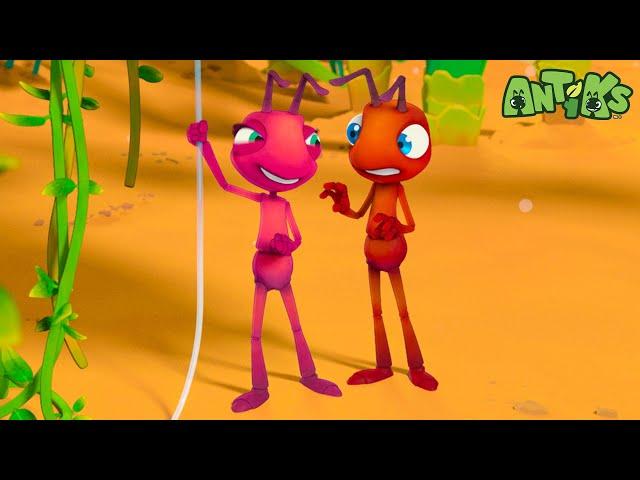 String The Ants Along | Antiks  | Action Cartoons For Kids