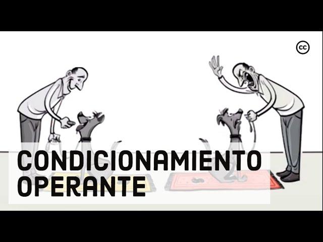 Condicionamiento Operante de Skinner: Recompensas & Castigos