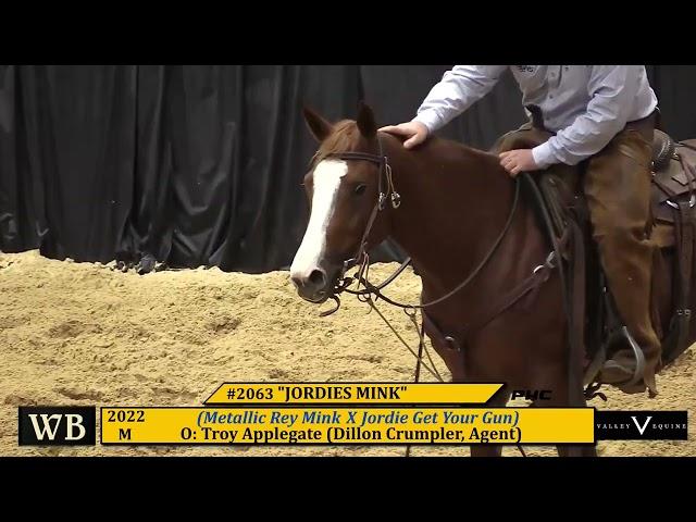 1 MILLION DOLLAR BID FOR JORDIES MINK 2024 WESTERN BLOODSTOCK NCHA FUTURITY 2YO SALE