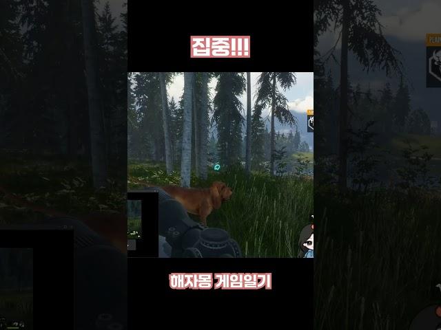집중!! #게임 #게임일기 #더헌터 #Thehunter #TheHunterCallOfTheWild @해자몽