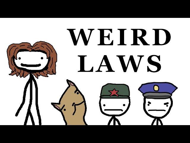 Weird Laws from Around the World