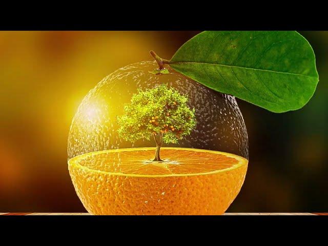 Best Photoshop Manipulation Technique | Free Photoshop Tutorial 2023