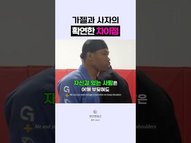🟣가젤과 사자의 차이