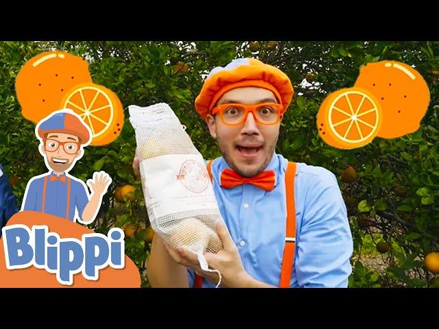 Blippi Visits an Orange Farm - Learning Fruits & Healthy Eating | Educational Videos For Kids