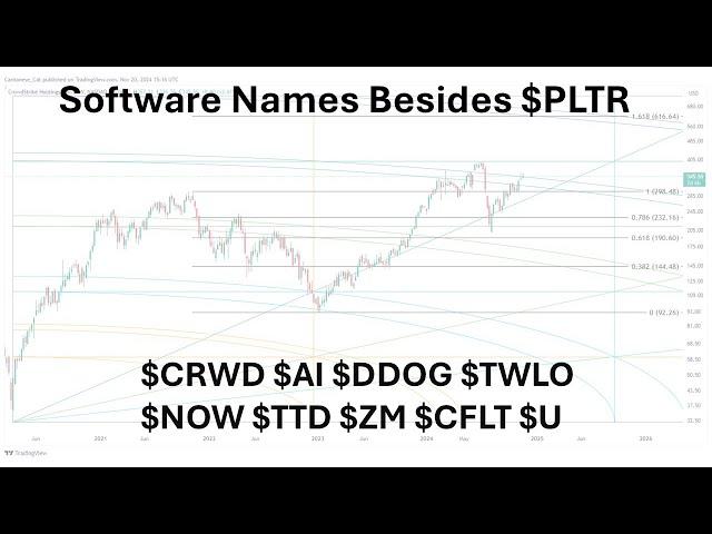 Software Stocks Besides $PLTR: $CRWD $AI $DDOG $TWLO $NOW $TTD $ZM $CFLT $U