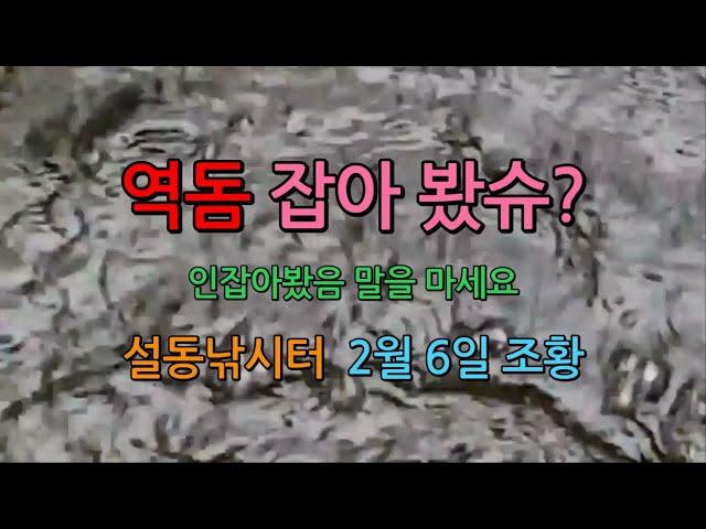 설동낚시터 2월 6일 조황