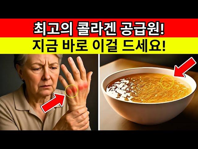 부종과 작별! 다리와 관절을 위해 꼭 먹어야 할 콜라겐 가득한 8가지 음식