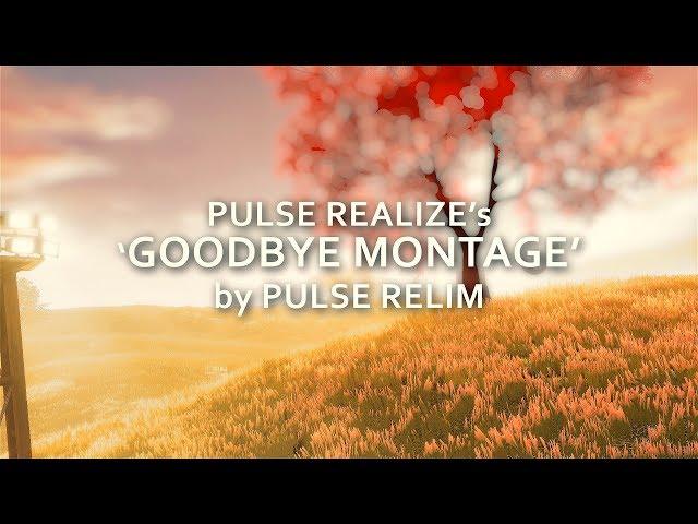 Pulse ReaLize: Goodbye Montage by Pulse Relim