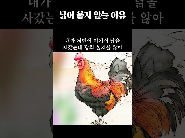 사랑방이야기
