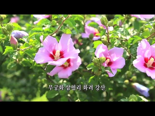 애국가1절