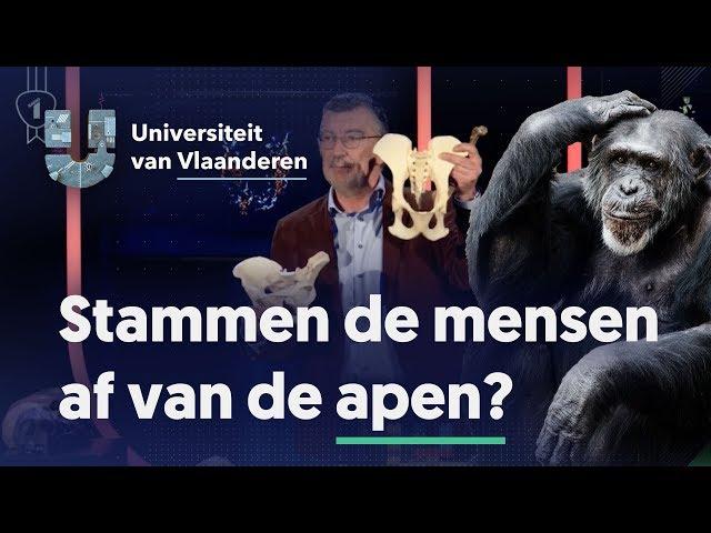 Stammen de mensen af van de apen?