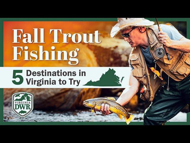 Where to Go Trout Fishing in Virginia