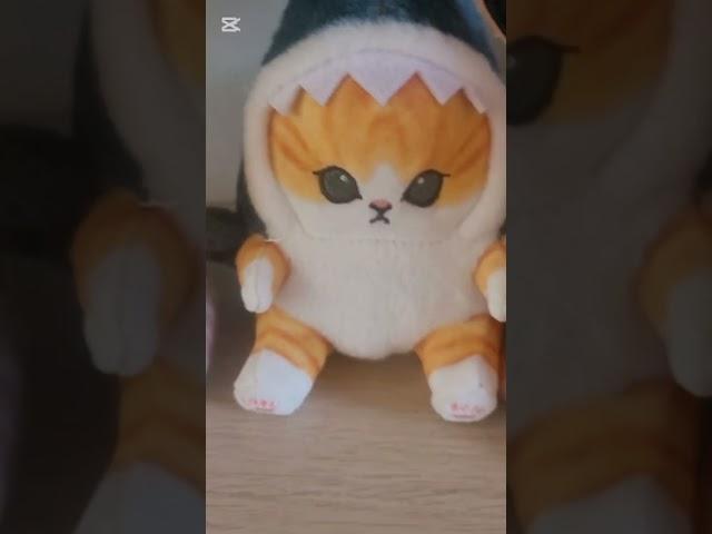 강원도 여행 1일차#고양이 호텔