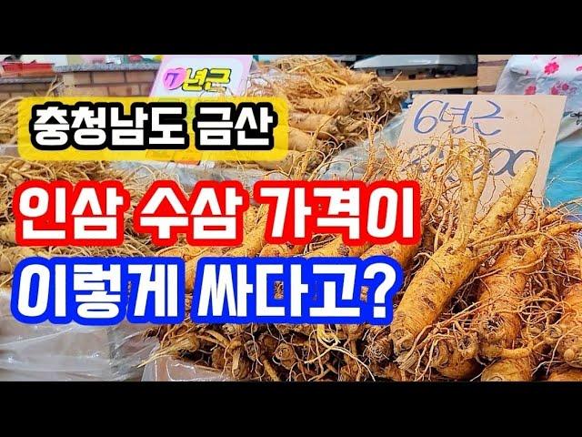 금산 인삼 시장 / 6년근 인삼 / 몸보신에 최고 / 구경만해도 건강해지는 / 저렴한 가격 / 볼거리 먹을거리 가득한곳 / 수삼 참 좋다