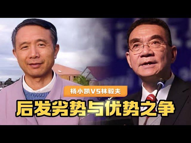 杨小凯VS林毅夫：后发劣势与后发优势之争