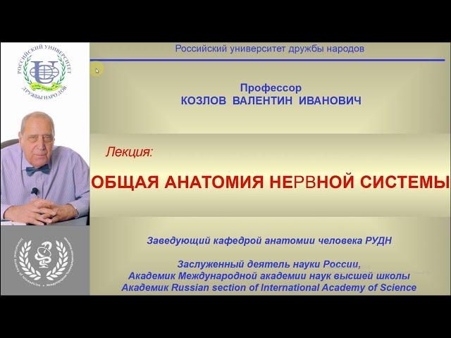 Лекция с академиком В.И. Козловым "ОБЩАЯ АНАТОМИЯ НЕРВНОЙ  СИСТЕМЫ"