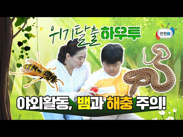 야외활동 시 꼭 주의해야 할 뱀, 벌, 야생진드기ㅣ위기탈출 하우투ㅣ안전교육 영상