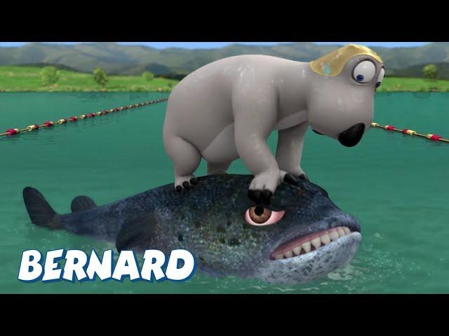 Bernard Bear | Triathlon AND MORE | Cartoons for Children