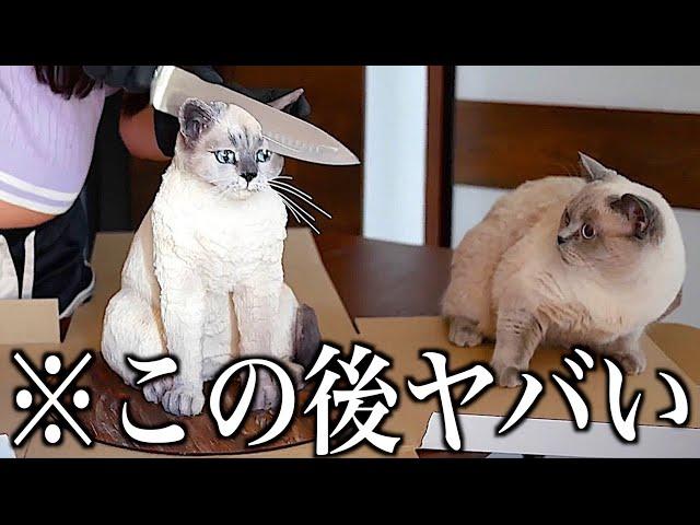 【神回】ツッコミどころ満載な動物のおもしろ動画見ようぜwwwwww【新作&傑作集②】【ハプニング映像】【犬】【猫】