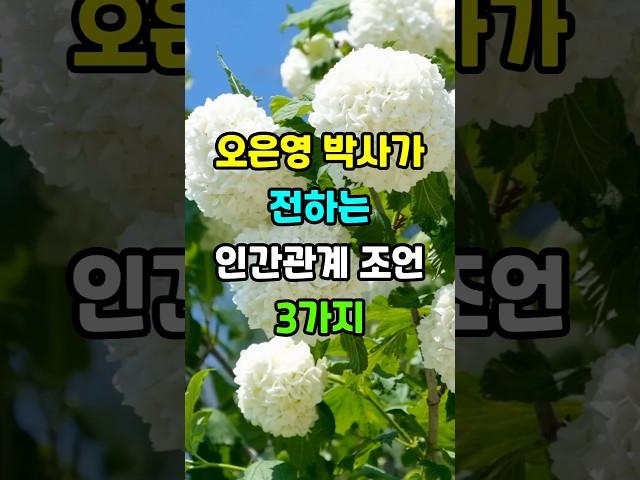 오은영 박사가 전하는 인간관계 조언 3가지 #노후지혜 #삶의지혜 #인생조언 #명언 #좋은글