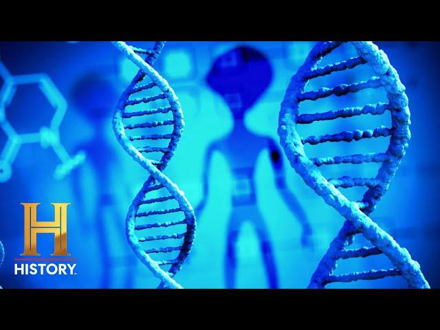 Ancient Aliens: Extraterrestrial Interference Alters Evolution (S17)