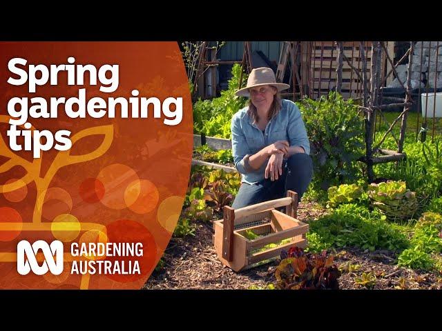 How to get the most success from your spring gardening | Gardening 101 | Gardening Australia