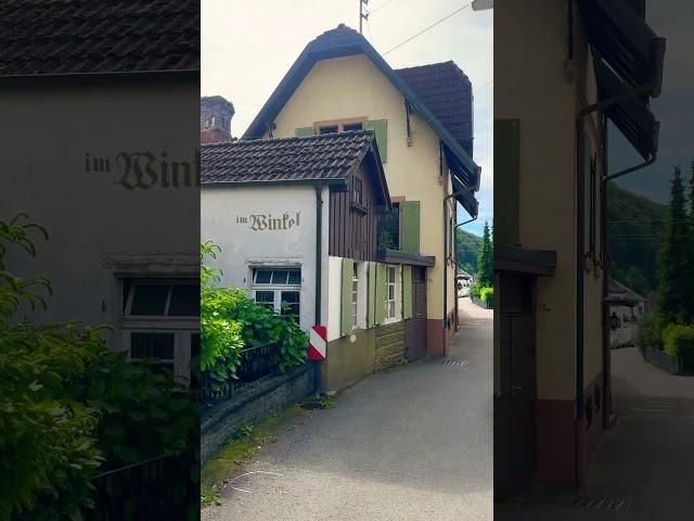 Очень люблю гулять по деревням в Германии. Это особый шарм. Нет заборов и всё в цветах  #германия