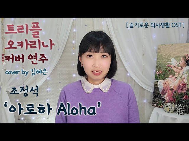 슬기로운 의사생활 OST 조정석 '아로하Aloha' 트리플오카리나연주 김혜은