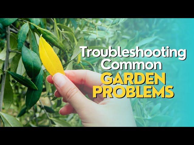 Troubleshooting Common Garden Problems