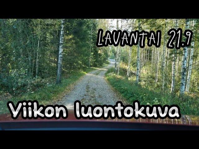 Ei musta ehkä luontokuvaajaksi ole #arkivlog #dailyvlog #cotondetulear #vlog