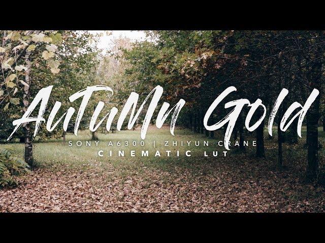 Autumn Gold | LUT Download (Sony a6300 + Zhiyun Crane)