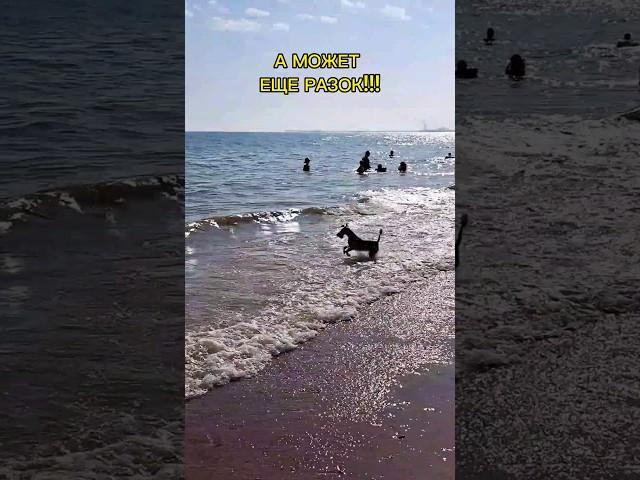 Посёлок Волна. Как с морем расстаться!!!  Нажмите два раза на экран. #краснодарскийкрай