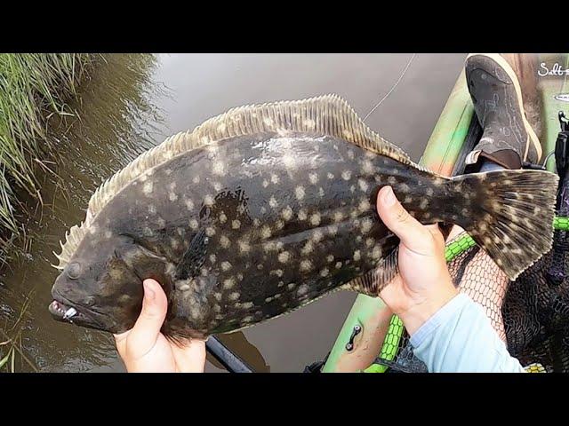 Best Place To Find Inshore Flounder (In Spring, Summer, & Fall)